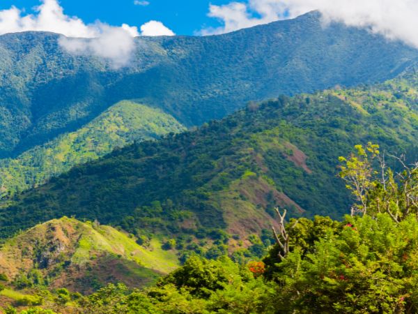 The Complete Hiking Guide to Jamaica with Trails for Every Skill Level