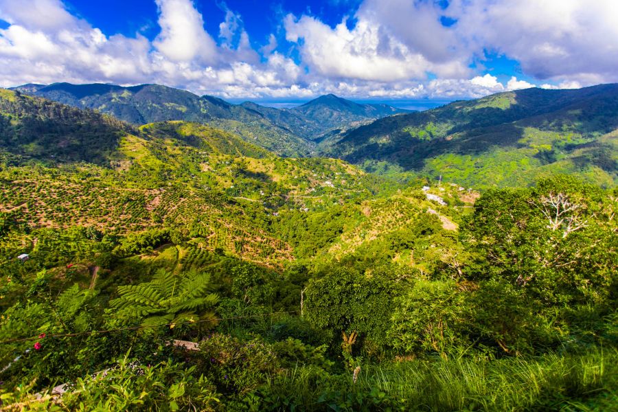 Touring Jamaica's National Parks